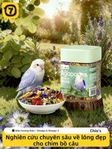7o | Nutritious Mix Bird Food for Parakeets Millet