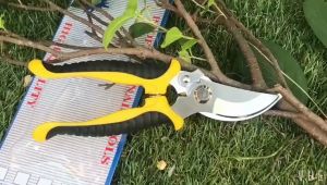 Pruning Shears Plant Tree Cutter Garden Plant Pruning Shears Garden Scissors Stainless Steel Flower Scissors Home Hand Bonsai Tool