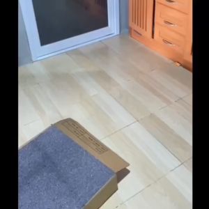 พร้อมส่ง พรม พรมปูพื้น ห้องนอน พรมจิ๊กซอว์ พรมแผ่น 50x50cm สำหรับห้องนอน ห้องนั่งเล่น ห้องครัว กันลื่น ทนต่อการสึกหรอ