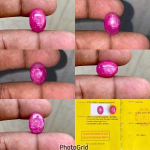 Natural Star Ruby Burma Batu Rubi star birma pinkish red ruby burma CT 10.27 Dim 14.50x10.74x6.61mm