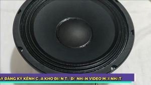 Loa bass 25 SO.NY xương nhôm đúc khối từ 158 gân 3 xếp tẩm dầu giá 1 chiếc