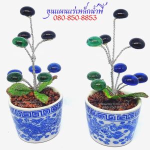 3 สี 9เม็ด ต้นไหลน้ำพี้ พุทธคุณดูดทรัพย์เม็ดไหลน้ำพี้ | 100% รับประกัน จ.อูตรดิตถ์