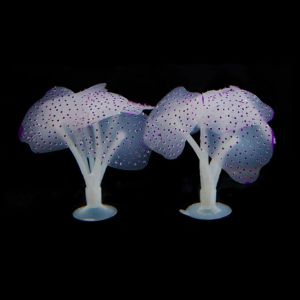 Hiasan aquarium Jamur warna warni mushroom dekorasi aquascape aquarium