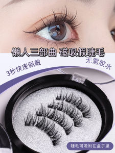 Magnetic False Eyelashes for Women Natural Looking Dense Four Magnet Beauty Tool Plastic Transparent Stem Artificial Fiber