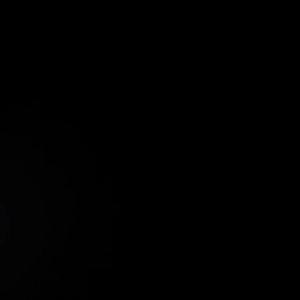 Bunga Artificial Premium: Menghiasi Rumah Anda dengan Bunga Tulip Palsu Plastik