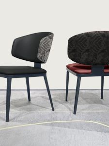 DUOBAOFUXING | Luxury Modern Minimalist Cat Scratch Resistant Dining Chair