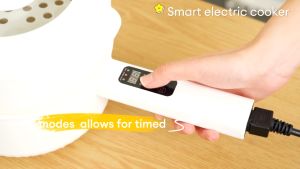 2.0L Smart Multifunctional Electric Cooker with steamer rice cooker small Non-Stick Pot Electric pot