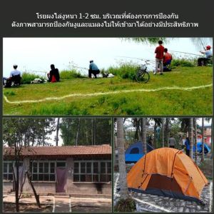 1000 เมตร กำมะถันไล่งู - การอัพเกรดใหม่ ไล่งู ผงกำมะถัน 70% ไล่งูและแมลงพิษทุกชนิด