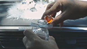 IMPORT PREMIUM QUALITY Pajangan Dashboard Mobil Premium Motif Angsa Anti Slip Bulu Pajangan Swan