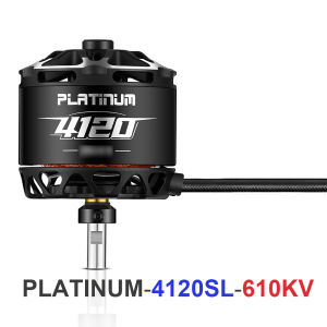 Hobbywing Platinum 4120 4125 4130 6S/12S 6mm Shaft Brushless Motor For RC Fixed-wing