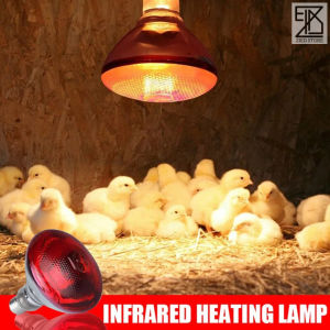 200 watt Lampu infrared pemanas ruangan kandang ayam DOC babi bebek Reptil