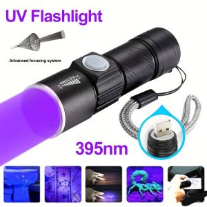 Mini USB Rechargeable Aluminium Alloy Fishing Light Purple Light Lantern Night Glow Tube Fish Hook Bracket Auxiliary Light