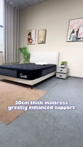 (COD) DreaMe Five Star Hotel 12inch 10 Years Warranty Memory Foam Spring Mattress Single Mattresses Double Size Optional Soft Comfortable Foam Matress with Multi-layers Great High Rebound Density Sponge and Durable Stable Spring Support Spine
