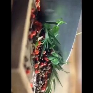 湘山红-烤小鸡腿（鸡翅根）奥尔良味/烤小鸭腿（鸭翅根）香辣味 XIANGSHANHONG-Roasted Chicken Drumettes (Wing Root)–Orleans Flavor/Roasted Duck Drumettes (Wing Root)–Spicy Flavor