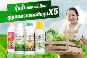 เอฟอช Aforch เกรดเอ ของแท้ 100% สารจับใบ 1 ลิตร ปุ๋ยเปียกทั่วใบ สารจับใบดูดซึมเร็ว ดูดซึมเร็ว ยาจับใบ