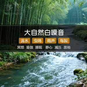 Nature White Noise MP3 Music USB Drive Calming Meditation Pure Music Water Flow Bird Song Sound Healing Therapy Relaxation