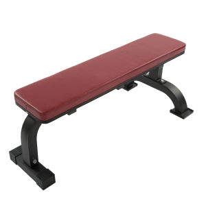 TTCZ | Home Professional Fitness Chair for Fly Exercise