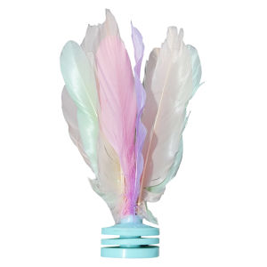 SHENWO | Durable Kicking Shuttlecock for Adults Kindergarten Children and Elementary School Students 2025 New Edition