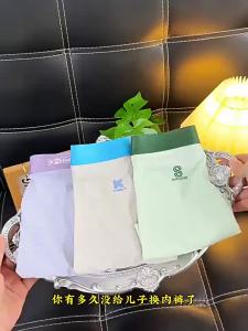 Cool Ice Silk Underwear for Teenagers
