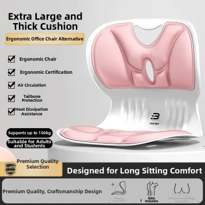 BENBO Lumbar support seat cushion and backrest