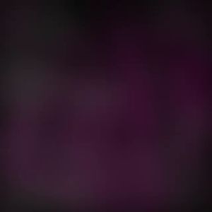 Spring Buffer Stabilizer Peredam Guncangan Clear Honda CRZ Belakang