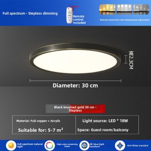 Ultra Thin Minimalist Black Ceiling Light for Study and Balcony