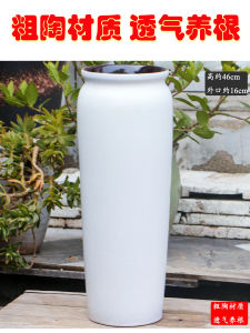 Special Nine-Tailed Fox Pot Thick Ceramics Succulent Planters Breathable Root Development Large Tall Special for Old Trunks