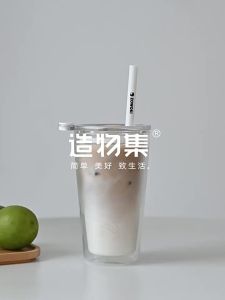 Borosilicate Double Wall Heat Resistant Glass Cup with Straw