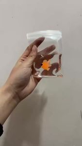 Transparent Q-Elastic Water Goldfish Bag Soft Silicone Squeeze Sensory Toy Mudlike Slow Rebound Stress Relief Gift for Adults