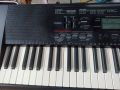 Đàn organ casio ctk3000.