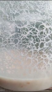 Microworm Starter🔥READY STOCK🔥food for fry (betta / guppy / molly & other)