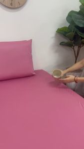 Bộ Ga Chống Thấm Cao Cấp Cho Bé Kèm Vỏ Gối Chống Thấm Chính Hãng PT Chất Liệu Thun Lụa Organic Cao Cấp (Mẫu Trơn Hồng Ruốc)