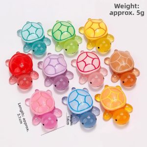 Night Glow Turtle Toy