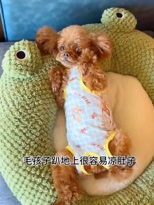 jumsuit ngừa rụng lông / Quần áo cai sữa - hỗ trợ phục hồi vết thương sau khi phẫu thuật - T3 PETS SHOP