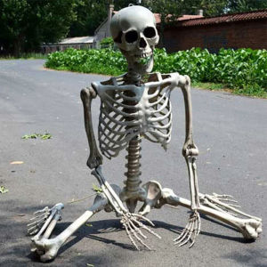 Prank props Full Life Size Human Skeleton Prop 90CM Haunted House Hanging Props Movable Skeleton Ornament Toys