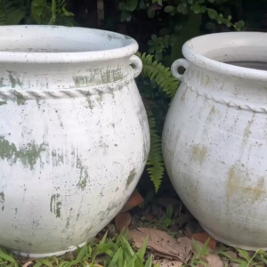 กระถางดินเผาทรงโอ่งอ้วนปากบาน ก้นกระถางไม่มีรู ใส่น้ำได้ มีหู 2 หู ขนาด ถ้าจะนำไปปลูกต้นไม้สามารถแจ้งให้เจาะรูได้ 43 X 39 cm.