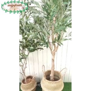Pohon Artificial Zaitun Olive X3 T140 & T180 Latex Cover Purun Belly Dekorasi Ruang Tamu