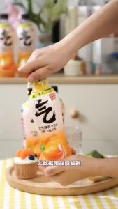 元气森林气泡水 苏打水 气泡水元气森林 0糖0饮料 气泡足 健康饮料批发