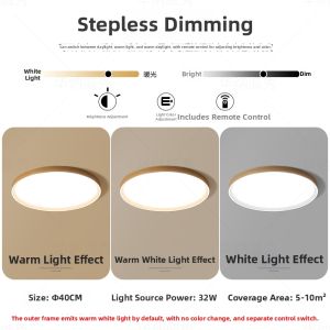 Vintage Full Spectrum LED Minimal Round Light Fixture