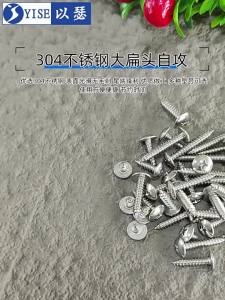 Yi Se Dian Zi | Stainless Steel Flat Head Mushroom Head Self-tapping Wood Screw