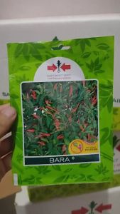 Benih Bibit Cabe Rawit BARA Cap Panah Merah +- 500Butir