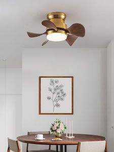 22-Inch Ceiling Fan Lamp Dining Room Bedroom Strong Wind Electric Fan Lamp Childrens Room Study Home Integrated Small Ceiling Fan Lamp