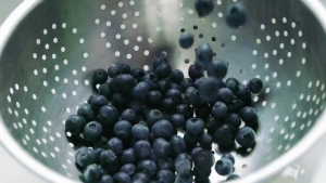 Vinafood Premium Soft Dried Blueberry | No Sugar Added Rich Antioxidants Healthy Sweet Chewy Snack for All Ages 250G
