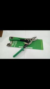 Gunting seng 10"