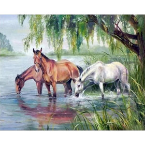 Oil Painting By Numbers for Adults Horse Cat Animal Paint By Number Modern Home Decoration Birthday gift