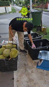 1 box of MSW Durian 300Grams