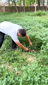 50cm Long Foldable Sickle for Wheat Lawn Mower Gardening Grass Weeding Agricultural Farmers Tool