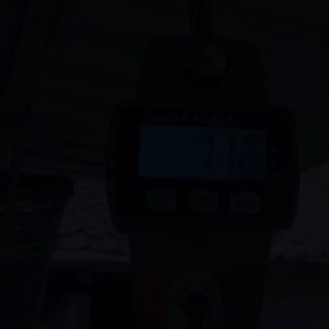 Timbangan Gantung 300Kg Baja Anti Karat - Digital Crane Scale 300Kg