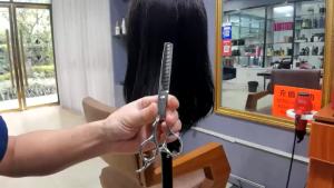 Hairdressing Scissors Professional Double Side Teeth 6" JP Stainless Barber Scissors 10%-15% Thinning Rate Hair Scissors Z2001