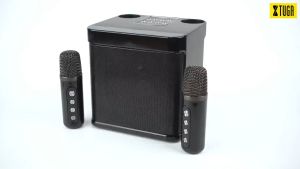 Wireless Karaoke Speaker with mic 3D Stereo Amplifier Speaker Dual Microphone Bluetooth Speaker